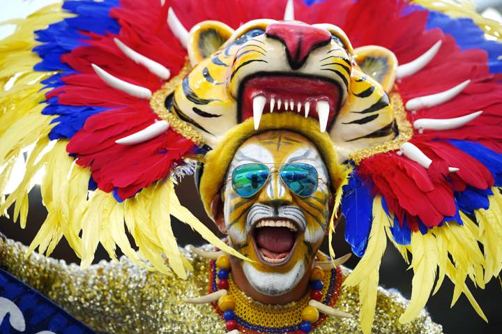 A fan of Colombia wearing a costume smiles 