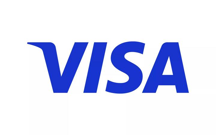 Partner asset - inverted logo - VISA 2