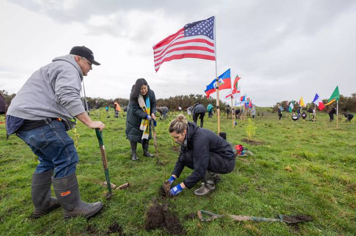 Dr Sheila Nguyen, Head of Sustainability for the FIFA joined hundreds of Football fans and others at a large tree planting at Puhinui Community reserve near Auckland Airport